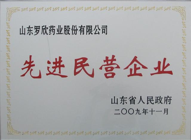 先進民營企業(yè)