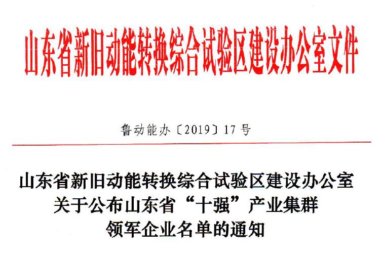 山東省“十強”產(chǎn)業(yè)集群領軍企業(yè)